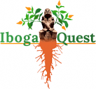 iboga health blog